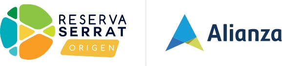 logos footer